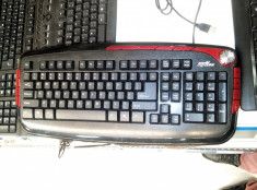 Digitex Tastatura multimedia foto