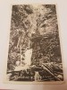 CP Austria 1922 turritz, Circulata, Fotografie