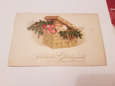 CP Austria 1924 anul nou foto