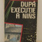 DUPA EXECUTIE A NINS-VIOREL DOMENICO