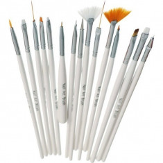 Set 15 pensule Nail Art Brush foto