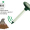 Pestmaster AG625 - Dispozitiv anti cartite cu alimentare solara (-46% reducere)