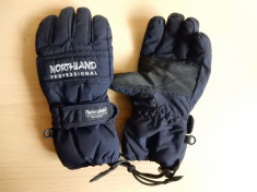 Manusi ski Northland Professional Thinsulate Insulation 40 gram; marime S copii foto