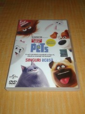 Singuri acasa - The secret life of pets - desen animat dublat romana foto