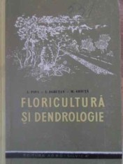 Floricultura Si Dendrologie - A. Popa, I. Ogrutan, M. Ghiuta ,390605 foto