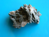 Specimen minerale - pirita pe calcita (CC2), Naturala, Calcit
