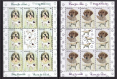 Romania 2012 fauna caini set minicoli MNH w40 foto