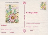 Romania 1997, CP, Flora