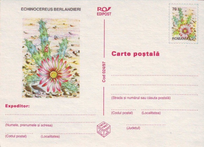 Romania 1997, CP, Flora