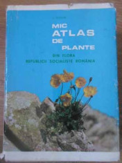 Mic Atlas De Plante Din Flora Republicii Socialiste Romani - I. Todor ,390888 foto