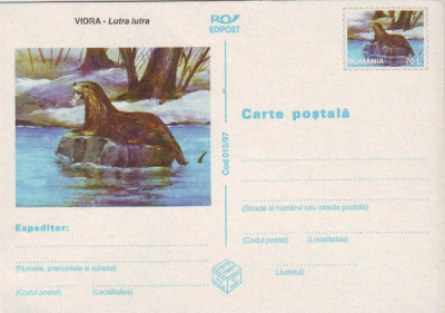 Romania 1997, CP, Fauna - Vidra foto