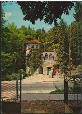 CPI (B8003) CARTE POSTALA - CALIMANESTI - VILA FLORILOR foto