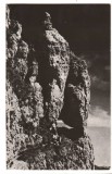 CPI (B8007) CARTE POSTALA - MUNTII BUCEGI. BRANA PORTITEI, RPR