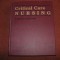 Critical Care Nursing - A holistic approach