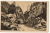 CPI (B8019) CARTE POSTALA - DRUMUL IN CHEILE BICAZULUI, RPR, Necirculata, Fotografie
