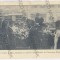 3673 - BRAILA, Berarie, Frizerie, Nunta, Romania - old postcard - unused