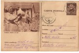 CPI (B8073) CARTE POSTALA - CRESTEREA PASARILOR DE RASA, GAINI, Circulata, Fotografie