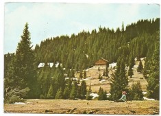 @carte postala(marca fixa)-DAMBOVITA-Valea Ialomitei la Padina