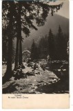 CPI (B8065) CARTE POSTALA - TUSNAD. PE MALUL LACULUI &quot;CIUCAS&quot;, RPR, Circulata, Fotografie