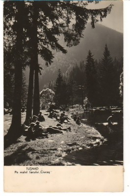 CPI (B8065) CARTE POSTALA - TUSNAD. PE MALUL LACULUI &amp;quot;CIUCAS&amp;quot;, RPR foto