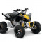 ATV Can-Am DS 90 X - ACA71224