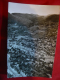 Ilustrata Baia Sprie - Vedere Generala cca. 1960, Necirculata, Fotografie