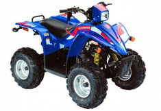 ATV Linhai 50 Joker motorvip - AL574194 foto