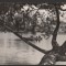CPI (B8058) CARTE POSTALA - CAMPINA - CU BARCA PE LAC, RPR