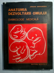 Armand Andronescu - Anatomia dezvoltarii omului {Embriologie medicala} foto