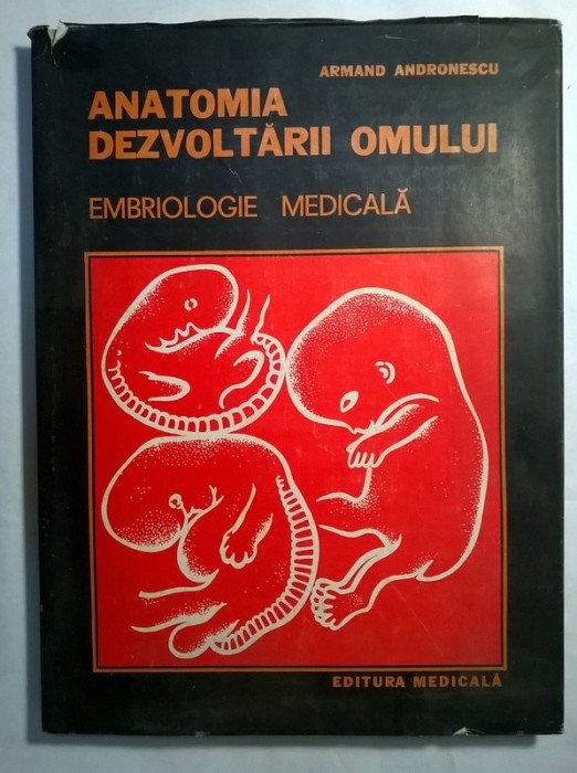 embriologie andronescu