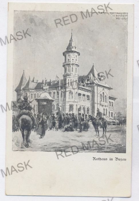 3681 - BUZAU, Market - old postcard - unused