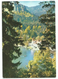 @carte postala(ilustrata)-HARGHITA-Baile Tusnad-Lacul Ciucas, Circulata, Printata