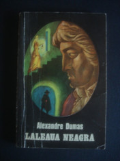 ALEXANDRE DUMAS - LALEAUA NEAGRA foto