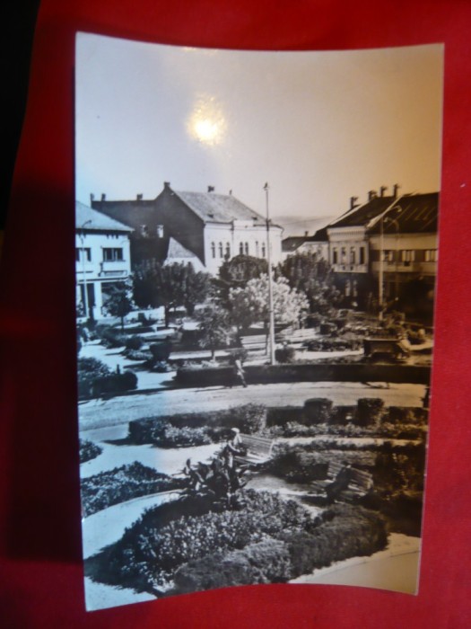 Ilustrata Fagaras - Vedere din Parc , circulat 1966