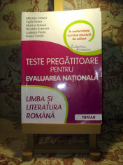 Mihaela Cirstea - Limba si literatura romana Teste pregatitoare pt ev nat&amp;quot;A3042&amp;quot; foto