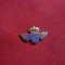 Insigna de rever interbelica KLM Liniile Aeriene Olandeze ,fara ac , L= 1,7 cm