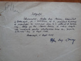 Delegatie scrisa olograf si semnata de Stefan Augustin Doinas , 1956