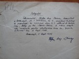 Cumpara ieftin Delegatie scrisa olograf si semnata de Stefan Augustin Doinas, 1956