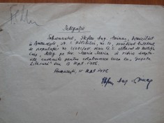 Delegatie scrisa olograf si semnata de Stefan Augustin Doinas, 1956