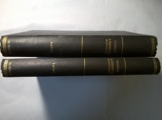 Schmaus: A Korbonctan alapvonalai {1914, 2 volume} foto