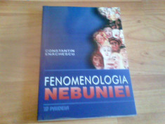 FENOMENOLOGIA NEBUNIEI - CONSTANTIN ENACHESCU foto