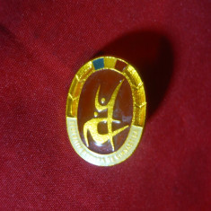 Insigna Federatia Romana de Gimnastica ,metal si email , L=2,2 cm