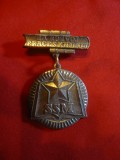 Insigna Pionier - Tineretul Socialist SSM Cehoslovacia ,h= 5 cm ,metal argintat