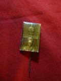 Insigna Granicer DDR ,metal si email , L= 2,7 cm