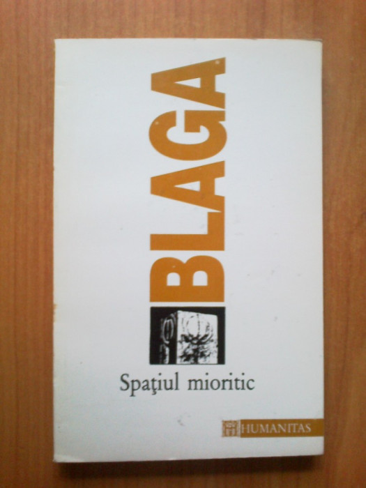 n3 Lucian Blaga - Spatiul mioritic