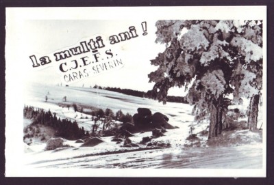 1972 Felicitare foto La Multi Ani peisaj hibernal, CJEFS Caras-Severin foto