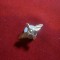 Insigna de Rever - Aviatie -Israel , L.aripi = 2,2 cm