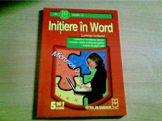 INITIERE IN WORD - LUMINITA IORDACHE foto