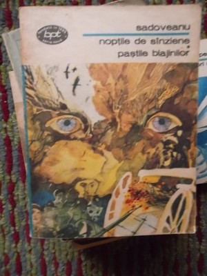 NOPTILE DE SANZIENE\PASTILE BLAJINILOR foto