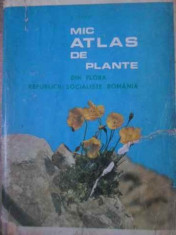 Mic Atlas De Plante Din Flora Republicii Socialiste Romani - I. Todor ,391911 foto